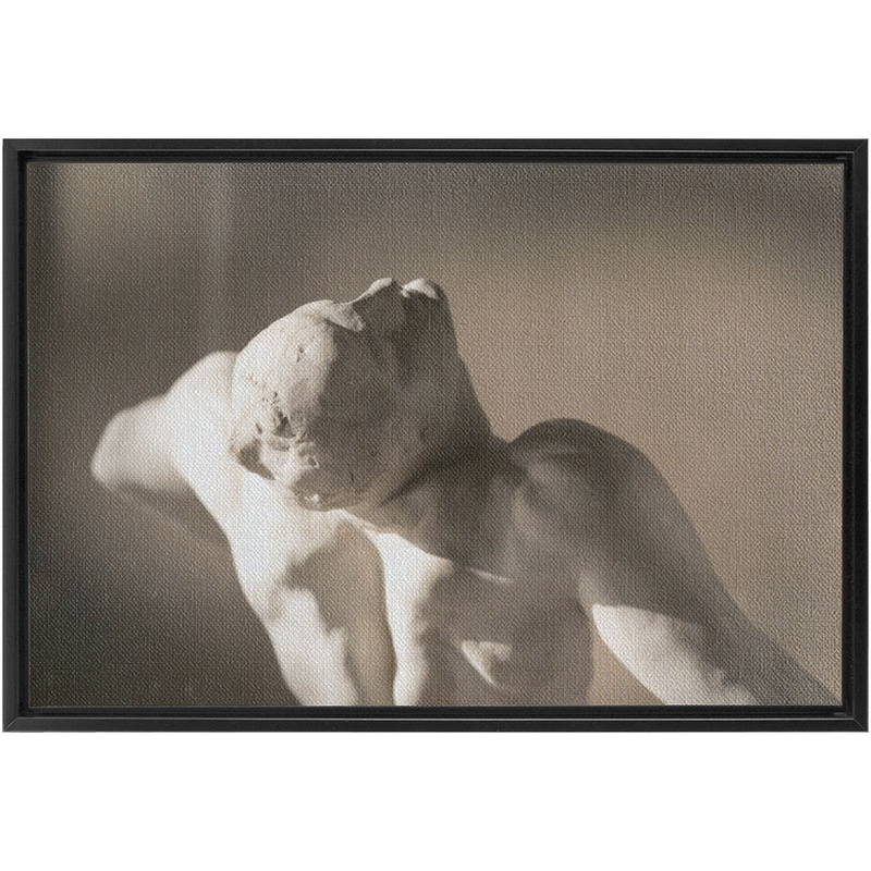 Rodin Framed Canvas