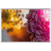 Floral Dream Framed Stretched Canvas