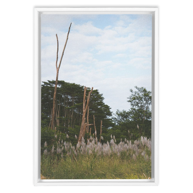 Meadow Framed Canvas