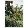 Jungle Framed Canvas