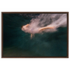 Night Dive Framed Canvas