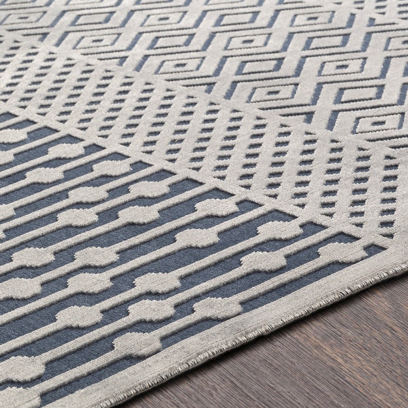 Aesop Rug in Dark Blue & Medium Gray