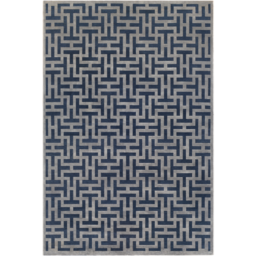 Aesop Rug in Dark Blue & Medium Gray