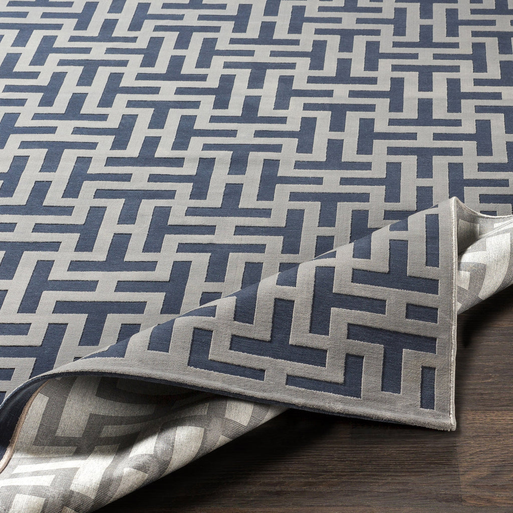 Aesop Rug in Dark Blue & Medium Gray