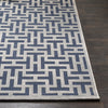 Aesop Rug in Dark Blue & Medium Gray