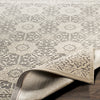 Aesop Rug in Light Gray & Beige