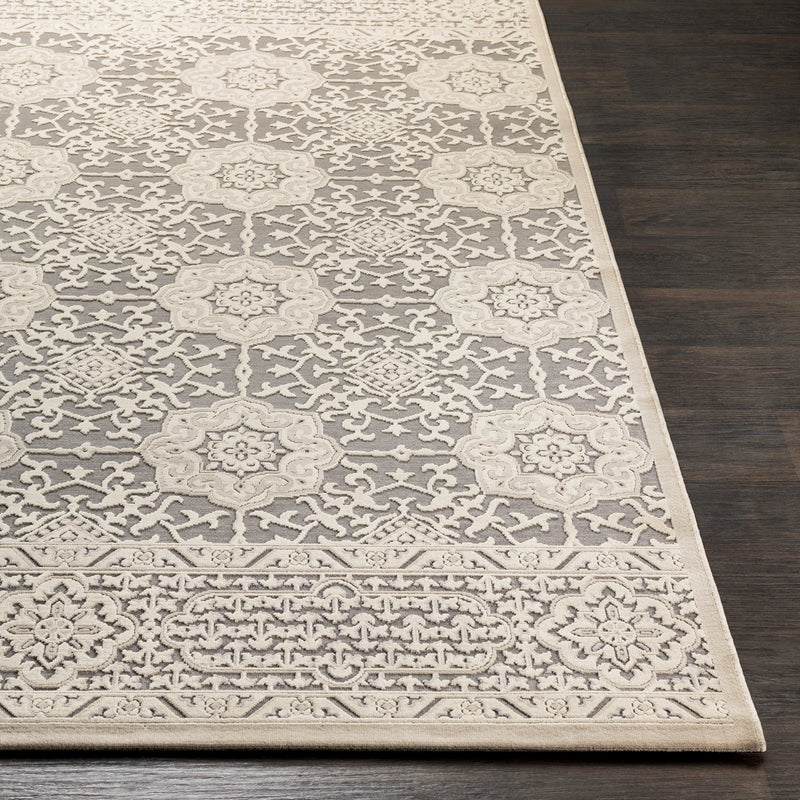 Aesop Rug in Light Gray & Beige