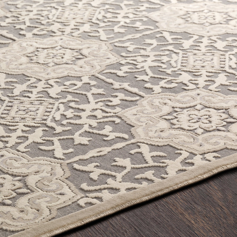 Aesop Rug in Light Gray & Beige