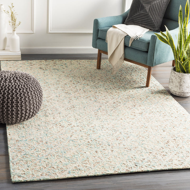 Avon Hand Tufted Rug