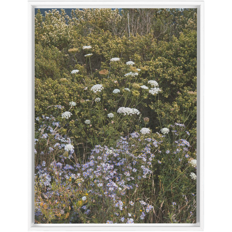 Wildflowers Framed Canvas