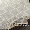 Berber Shag Rug in Taupe & Beige