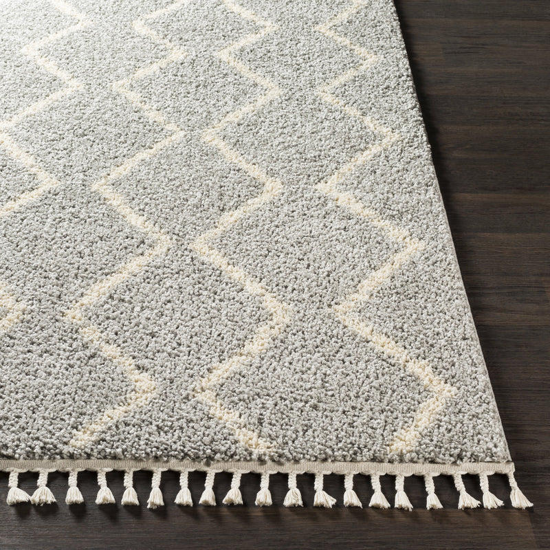 Berber Shag Rug in Taupe & Beige