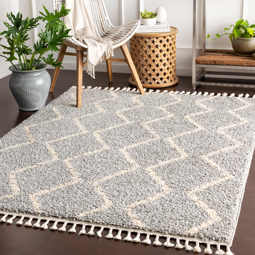 Berber Shag Rug in Taupe & Beige