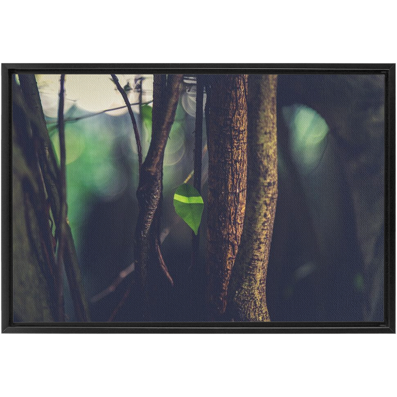 Leaf Framed Canvas