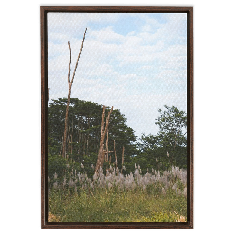 Meadow Framed Canvas