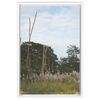 Meadow Framed Canvas