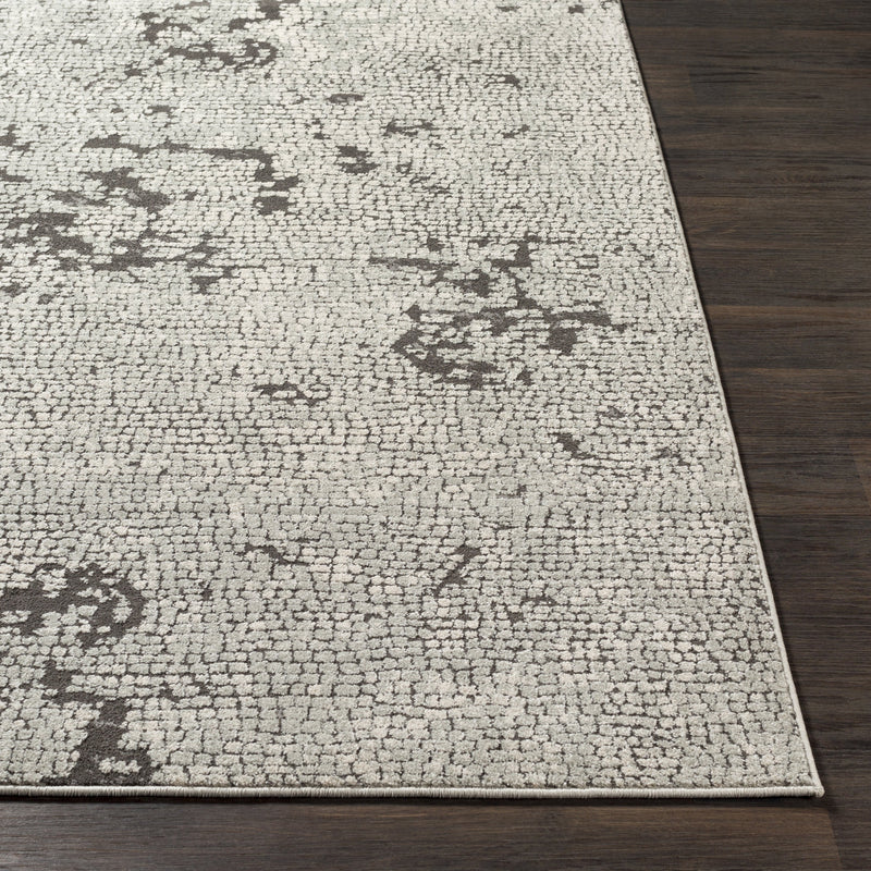 Bahar Rug in Taupe & Charcoal