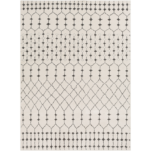 Bahar Rug in Charcoal & Beige