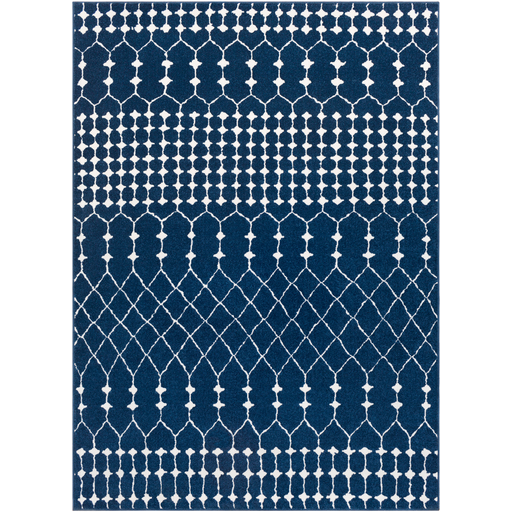 Bahar Rug in Navy & Beige