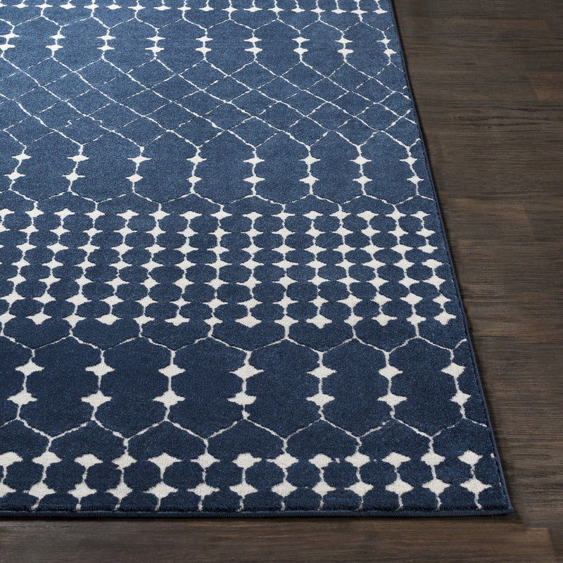 Bahar Rug in Navy & Beige