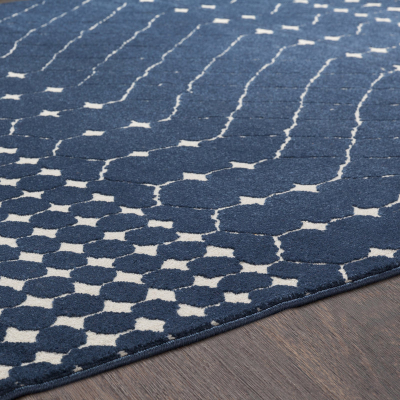 Bahar Rug in Navy & Beige