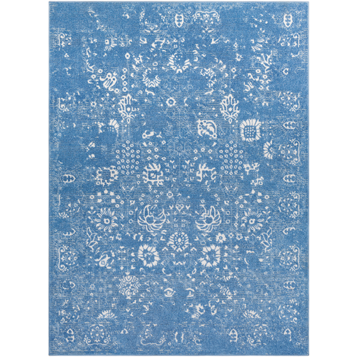 Bahar Rug in Bright Blue & Beige