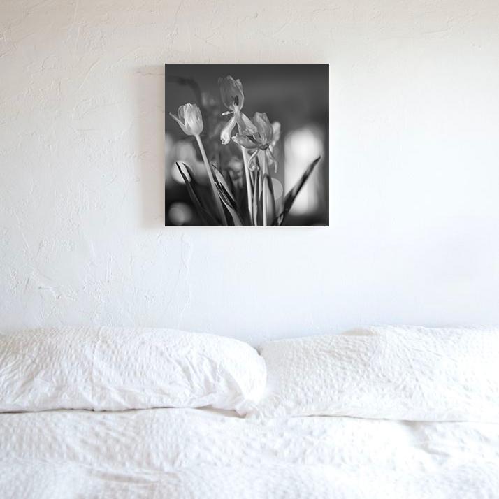 Tulips Photo Print