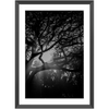 Island Light Framed Print