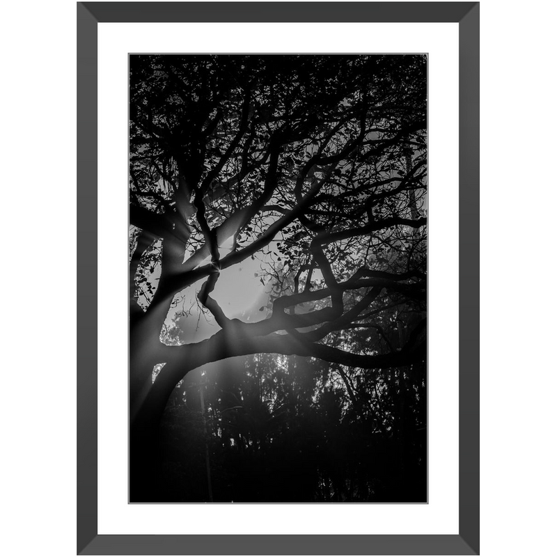 Island Light Framed Print