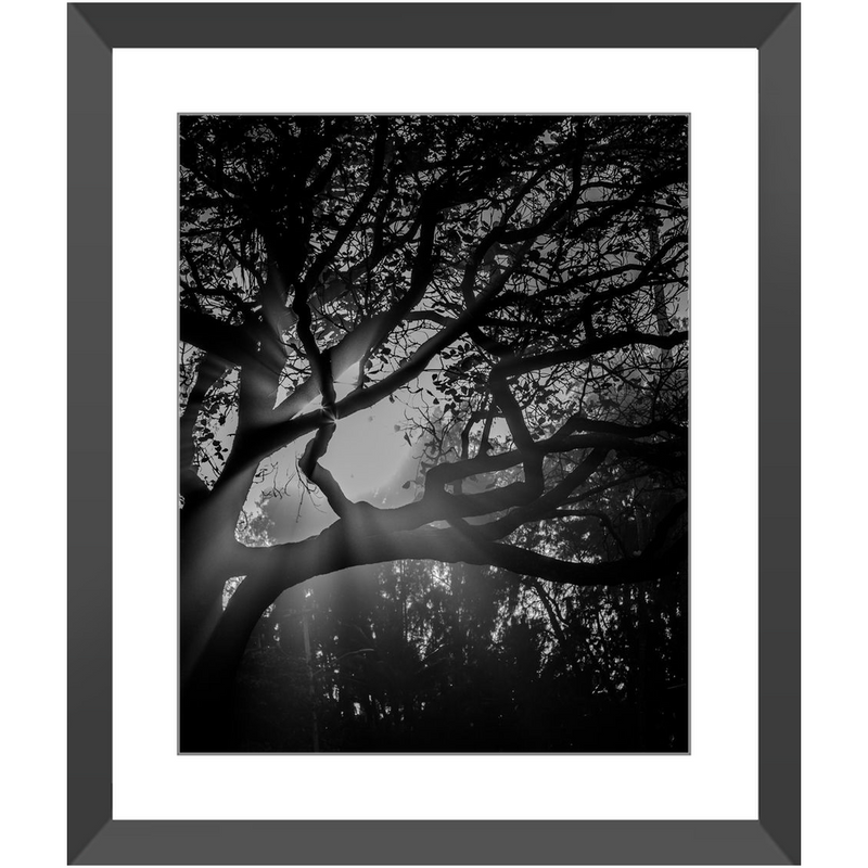 Island Light Framed Print