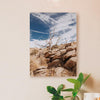 Desert Tree Photo Print