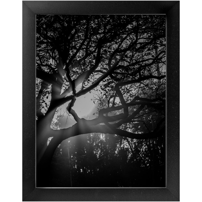 Island Light Framed Print