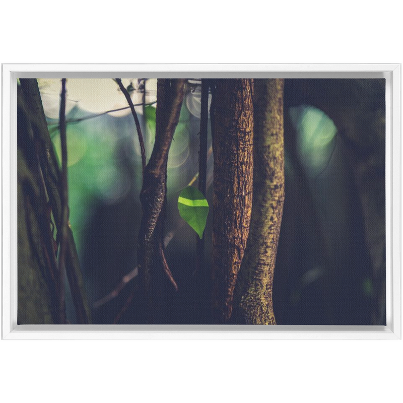 Leaf Framed Canvas