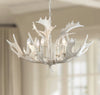 Birch 30-Inch Dia Antler Chandelier