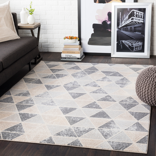 City Rug in Taupe & Light Gray