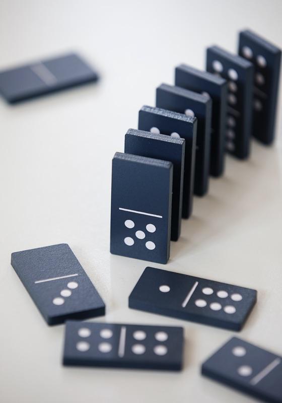 28 Piece Domino Set