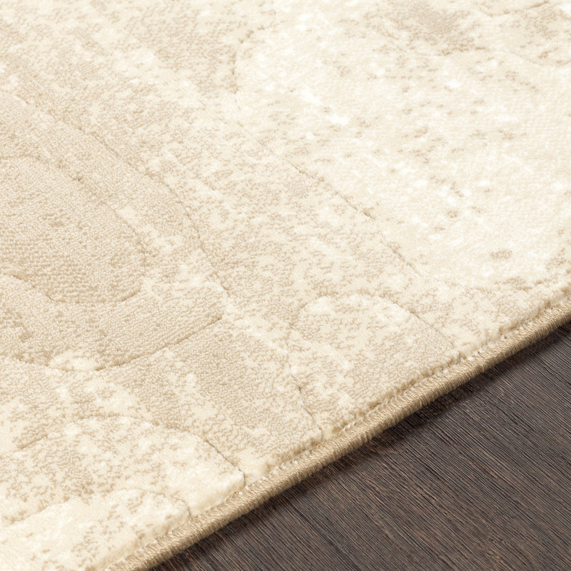 Contempo Rug in Beige & White