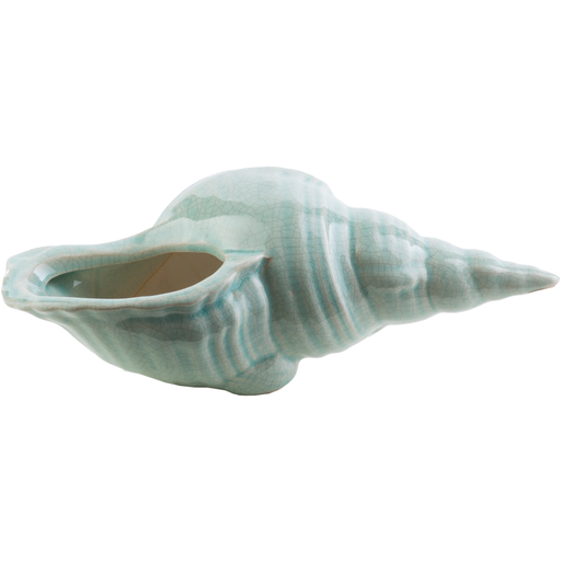 Clearwater Decorative Shell in Sage