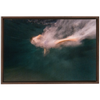 Night Dive Framed Canvas