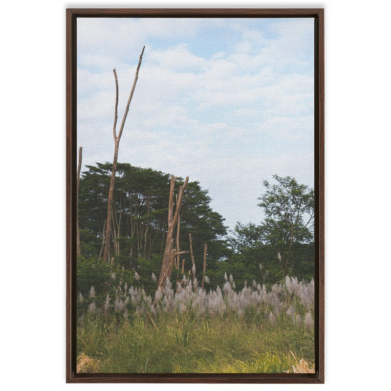 Meadow Framed Canvas