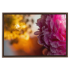 Floral Dream Framed Stretched Canvas