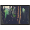 Leaf Framed Canvas