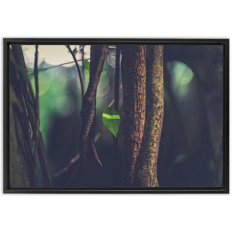 Leaf Framed Canvas