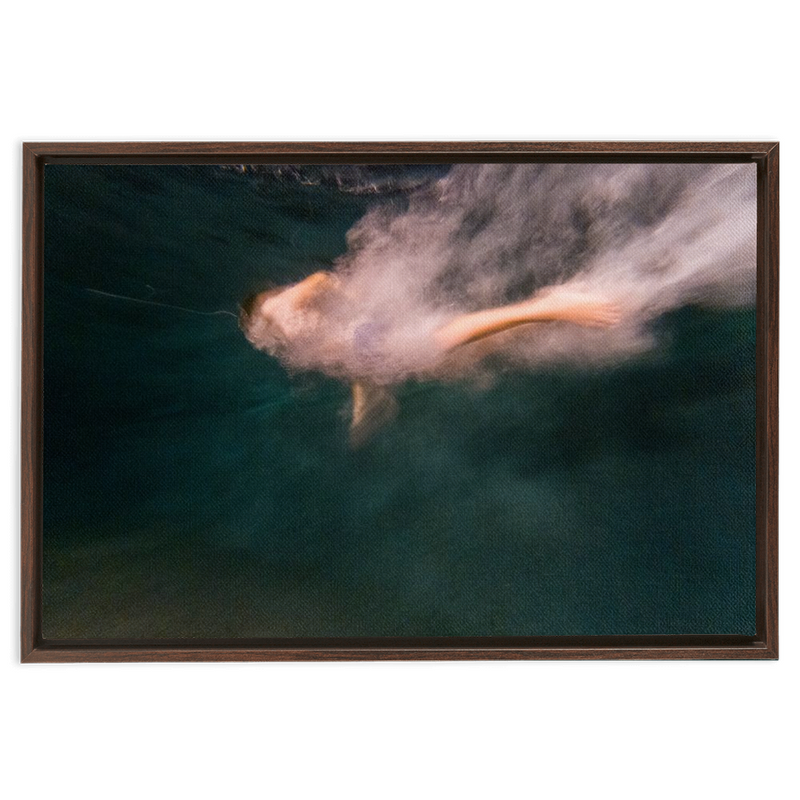 Night Dive Framed Canvas