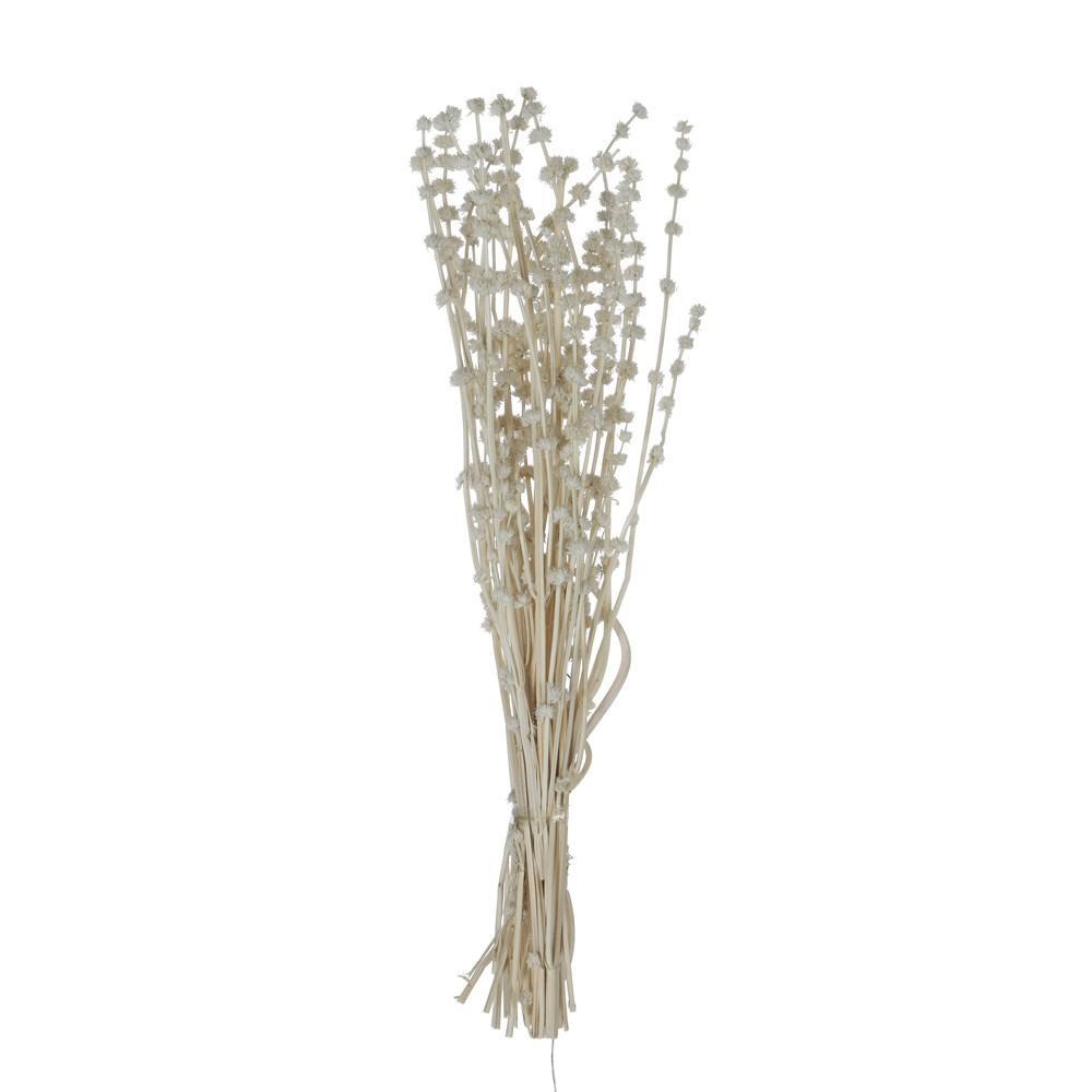 Dried Natural Lion's Tail Bunch in White