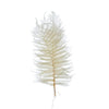 Dried Natural Fern Leaf in Cream