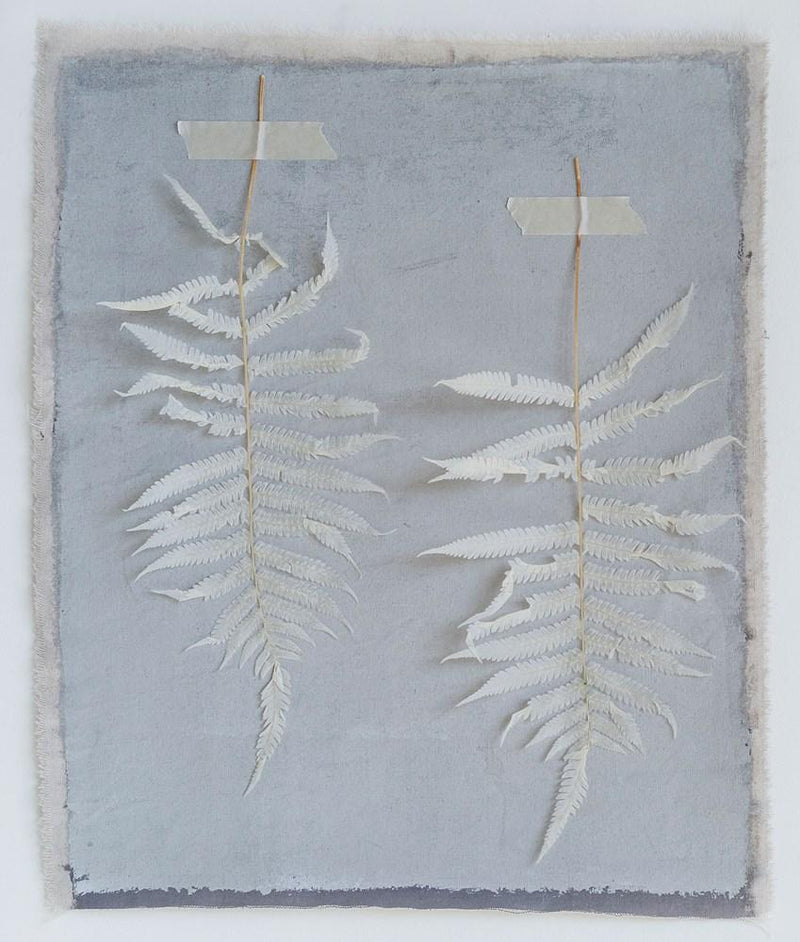 Dried Natural Fern Leaf in Cream