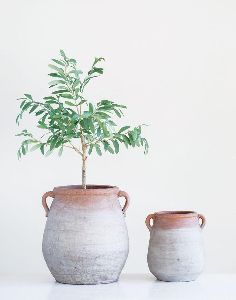 Faux Olive Tree in Terracotta Pot