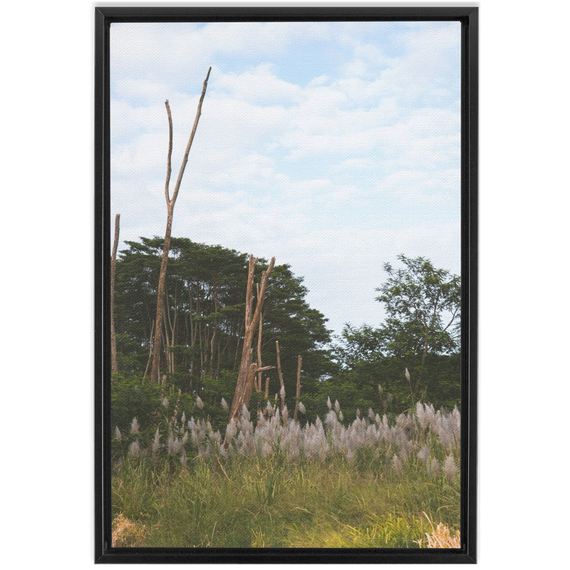 Meadow Framed Canvas