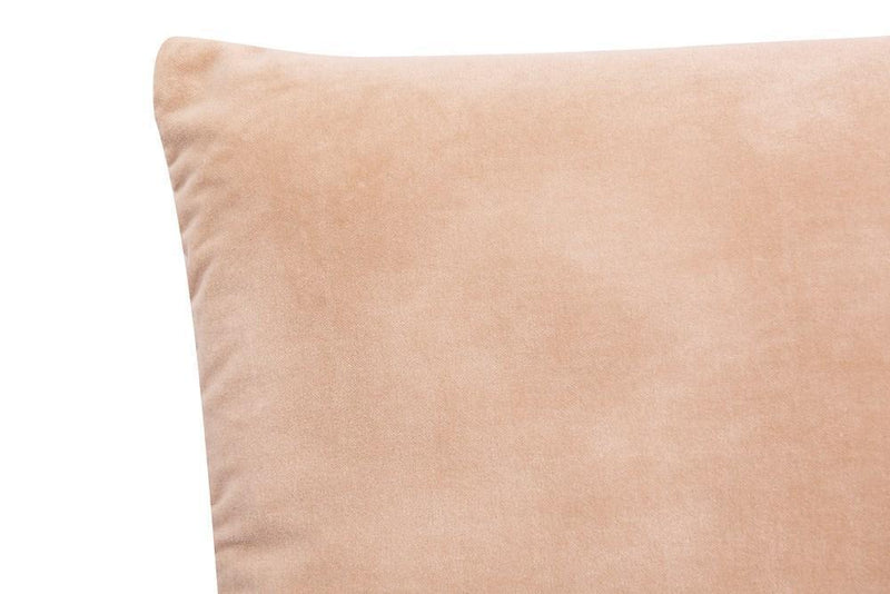 Taupe Velvet Pillow